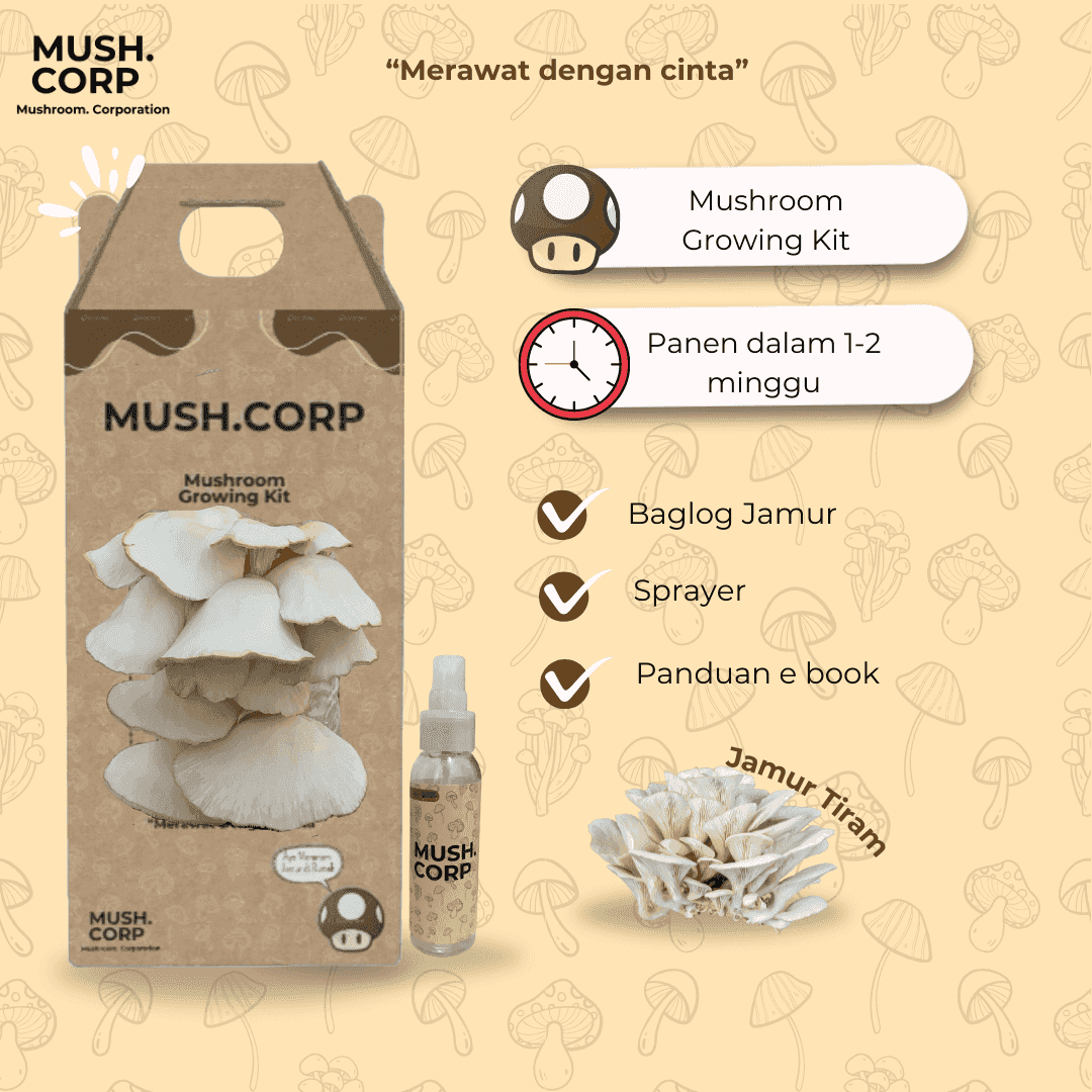 photo Mushroom Growing kit