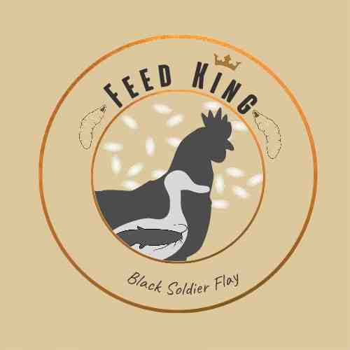 Feed King