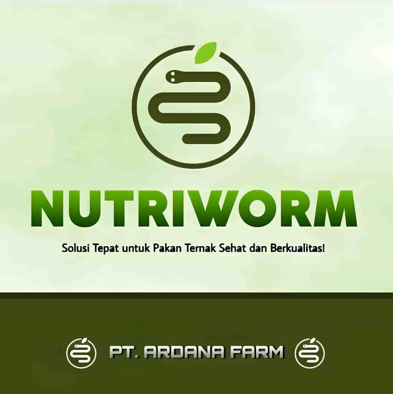 Nutriworm 