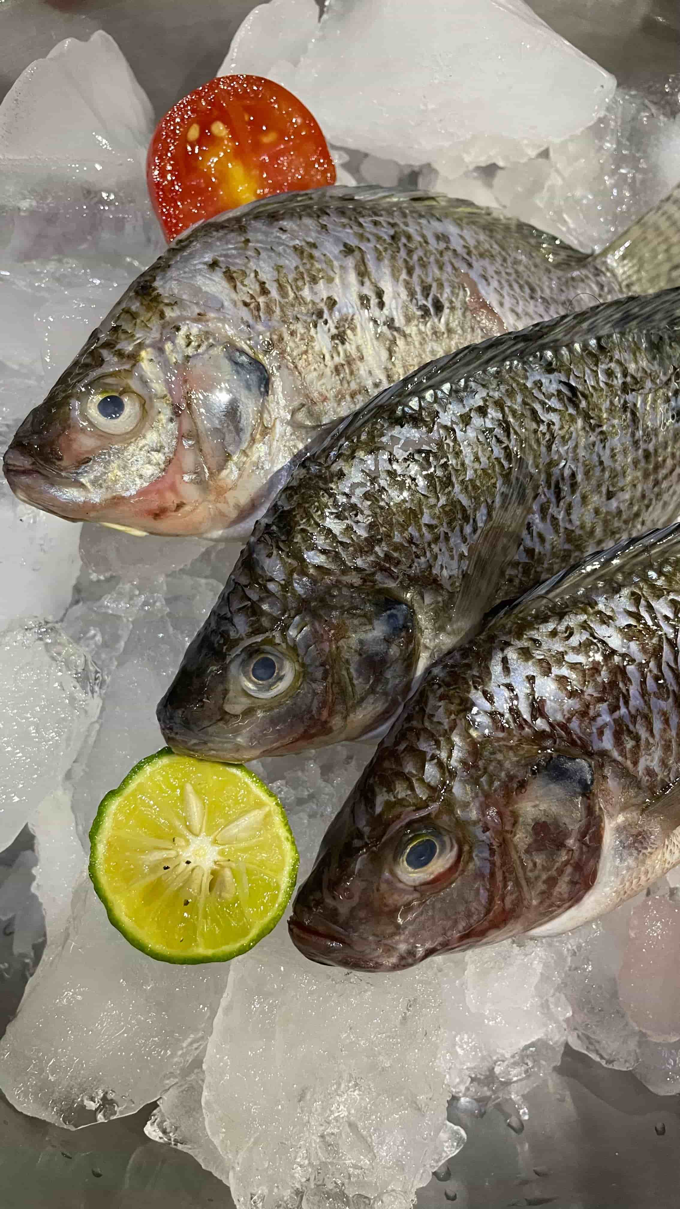 photo Ikan Nila Konsumsi