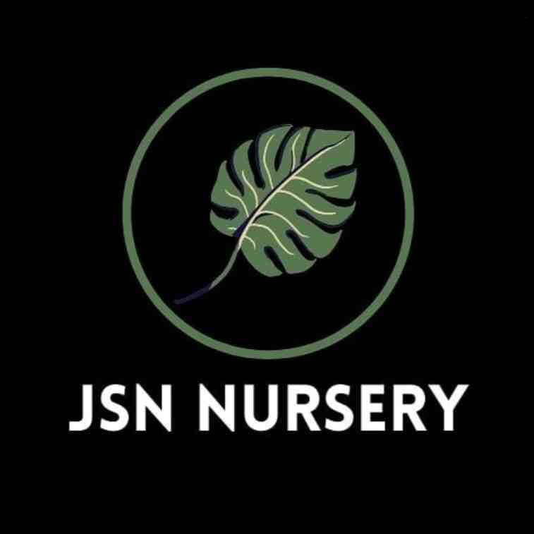 JSN Nursery (Pakaniku)